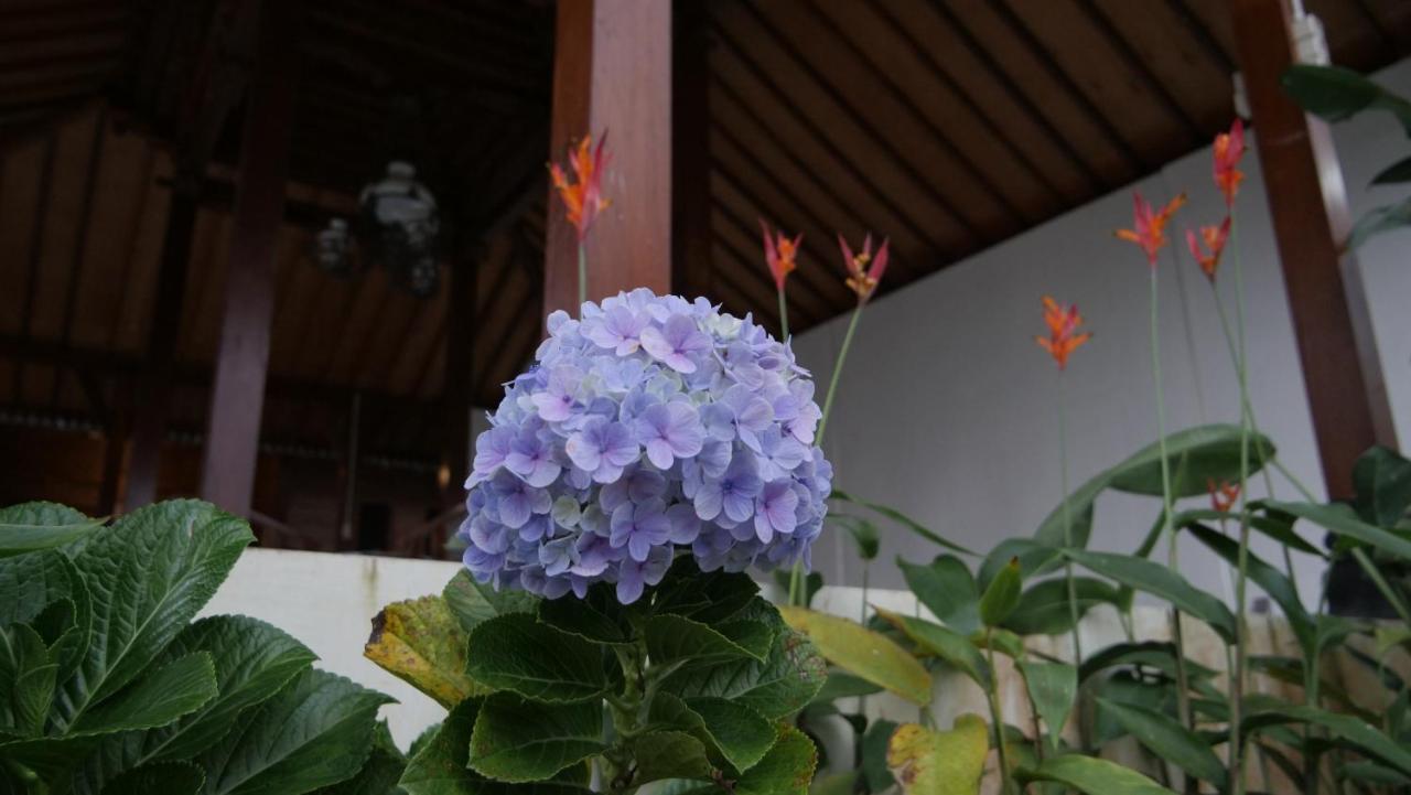 Sanggar Pantcha Indra Casa de hóspedes Kemuning Exterior foto